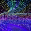 LED small colored lights, flashing lights, string lights, starry sky, low-voltage 24v outdoor waterproof project, solar Christmas star decoration Specification image